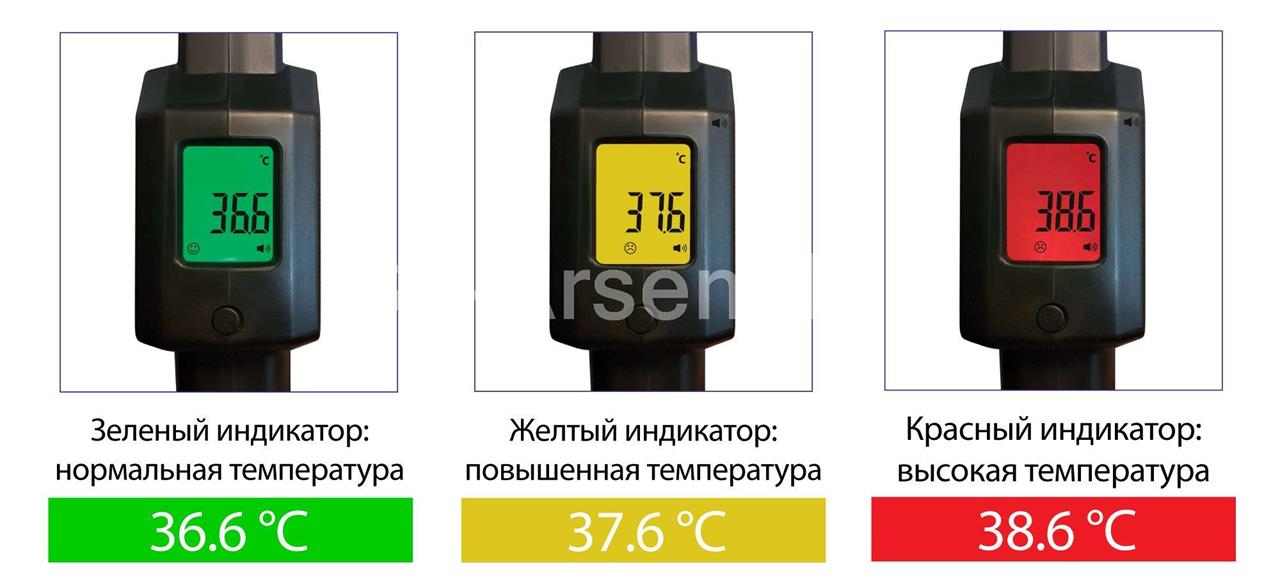 Metallodetector_termodatchik.jpg